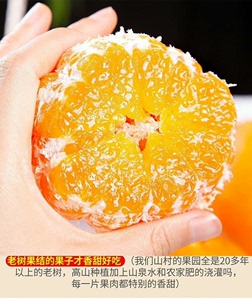 【十斤33.9元】四川耙耙柑正宗春见当应季新鲜水果丑橘子粑粑
