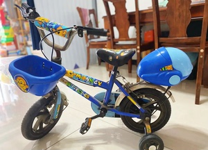 强孩纳牌儿童自行车2-3-4-6岁宝宝脚踏单车男童车