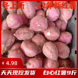 重庆红薯山芋助农地瓜红皮白心红薯新鲜干瓤粉圆红苕板栗番薯9斤