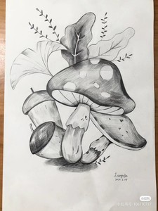 出小清新风格的蘑菇图案铅笔画，采用优质纸张绘画，色彩饱满，画