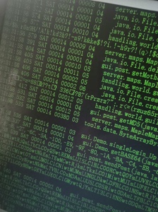 JAVA软件汇编逆向游戏服务器逆向源代码还原破解验证网络验证