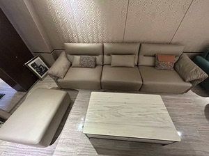 星港家居39年老品牌、科技布沙发、直排3米送踏、全新、现代简