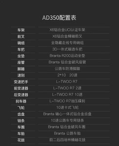 【全新】喜德盛（xds）公路自行车24款AD350骑行运动成