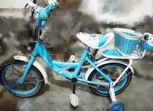 儿童小自行车 神舟鸟 巨鸣高端品牌