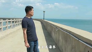 鑫玉龙有机无药残海参宜传片