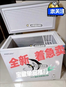 【二手价家用冰柜】海尔同款荣事达志高冰柜家用商用冷冻小型冷柜