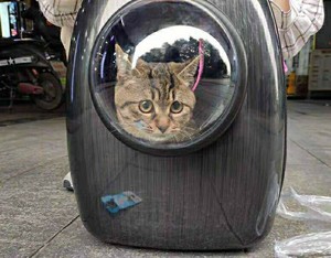 猫包狗狗小型犬外出便携太空舱侧开透明透气猫咪精灵球背包猫笼子
