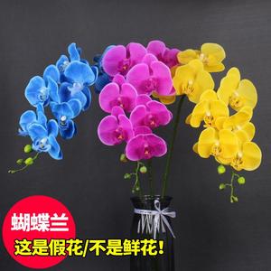 仿真假花塑胶塑料客厅一支假花单只手感防真保湿花蝴蝶兰装饰花