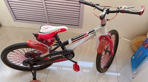 小阿明儿童自行车，带辅助轮，可发光，可拆卸，带水杯，九成新，