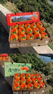 清江椪柑  宜昌长阳特产  自家果园奶奶种的  超特78特级