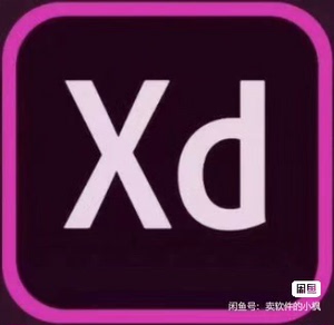 XD 软件安装包（永久使用），Adobe Xd 电脑软件安装