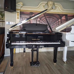 全新路易克斯三角钢琴样琴 德国机芯 适用于各个场合 尺寸有要