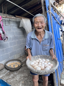 爷爷奶奶的土鸡蛋，我们乡下农村散养的，地势很宽，后面基本全是