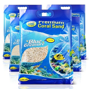 蓝色珍品菲律宾沙珊瑚沙海沙天然鱼缸底砂寄居蟹沙海砂珊瑚骨石