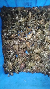 吉林省靖宇县矿泉城矿泉水养的各种冷水鱼，包没有土腥味，特鲜，