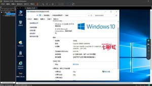 Vmware虚拟机 Win10 x64 去虚拟化环境套件