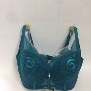 清货全新费卡洛品牌内衣36D/38D，80D/85D，深绿大