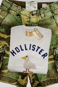 男装小海鸥Hollister短袖绝版老款t恤柔软白色厚实