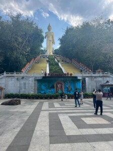 勐泐大佛寺门票勐泐文化园门票