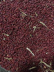 红豆生南国春来发几枝。红豆补血。和花生，枸杞，红枣，红糖煮五