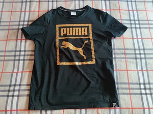 彪马PUMA黑色金标杨洋同款短袖运动衫，几乎全新，尺码175
