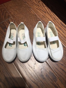 童鞋小白鞋国途舞鞋帆布鞋，尺码左175、右185，左鞋10元