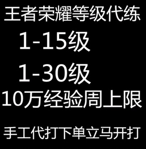 王者荣耀安卓代做小号等级