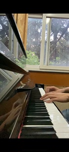 真人钢琴老师，学习三年余钢琴  本人是大二师范音乐学生。