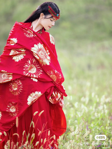 东宫小枫红衣服，初版自制，内有所有配饰，衣服有红衣和披纱，尺