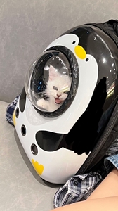 【便宜处理】猫咪外出便携猫包太空舱宠物包装猫背包狗狗双肩透明