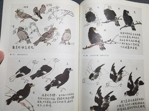 写意花鸟画技法，苏葆桢编绘，1982年人民美术出版社出版，1