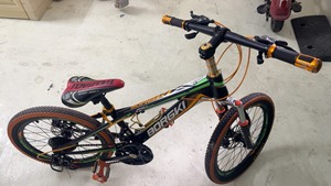 贝嘉琦儿童自行车，20寸，功能完好，闲置出。车子在大朗镇蔡边