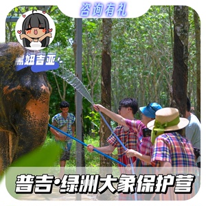 普吉岛绿洲大象保护营 普吉大象保护营 喂大象和大象洗泥浆浴