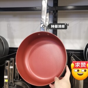 24cm不粘汤锅单柄。美国cooks essentials，