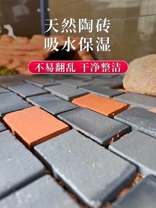 黄缘龟环境垫材料专用造景砖，黄缘乌龟垫材半水龟缸龟箱造景装饰