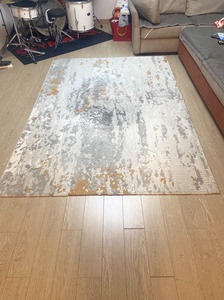 现处理地毯2.3×1.6米质量很好不是廉价的那种，颜色百搭实