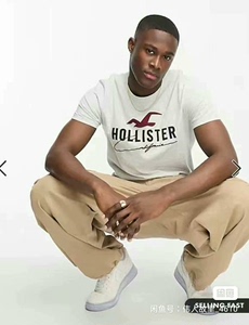 HOLLISTER美国海鸥AF旗下品牌男装圆领短袖T恤 面料