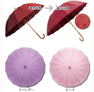 特价日本16骨创意遇水现花 超大防风直杆睛雨伞樱花伞长柄和伞