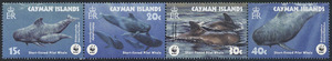 开曼群岛2003，WWF基金会4全新联，短肢领航鲸CV$7 MNH！