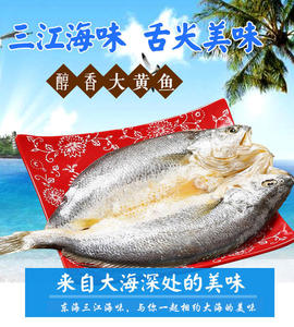 宁波海鲜 免洗即蒸或煎醇香脱脂黄鱼干 美味大黄鱼500克一条