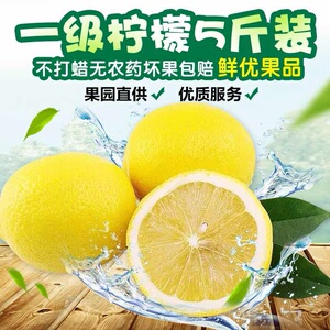 四川安岳黄柠檬一级果尤力克5斤装包邮 新鲜现摘当季水果15到30个