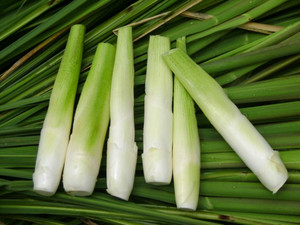 南京农家野生小茭白新鲜绿色蔬菜嫩甜茭白瓜茭笋11.99一斤现采摘