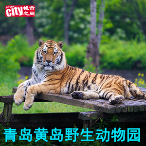 [青岛森林野生动物世界-大门票]黄岛动物园旅游景区景点官方通票