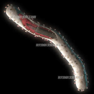医疗3D模型效果图埃博拉病毒插图代画设计PPT讲义绘图设计