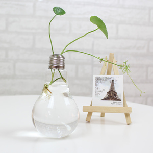欧式创意灯泡台面透明玻璃花瓶摆件水培花器时尚家居饰品