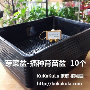 家庭园艺-芽菜盆-育苗盆-10个包邮-可做大小黑方托盘-KUKAKULA