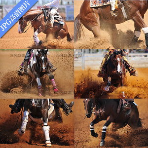 马术运动比赛赛马沙地高清照片图片设计素材 14张JPG