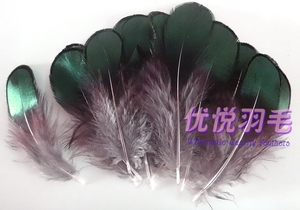 DIY羽毛饰品配件 铜鸡绿片羽毛 纯天然色泽羽毛 手机壳装饰羽毛