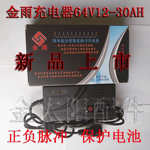 金雨(新款)64(12~30AH)智能自适应脉冲型充电器