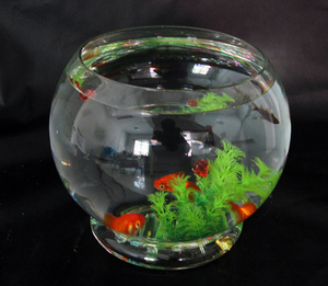 包邮时尚透明玻璃鱼缸 水培花瓶 圆球带底  适合绿萝、铜钱草